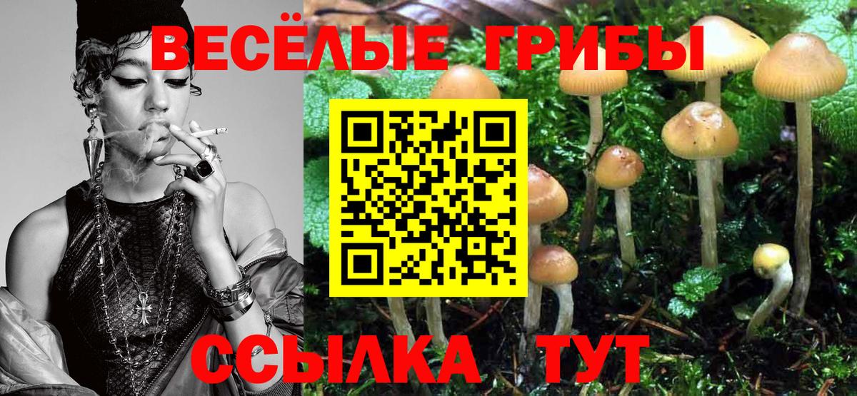 Псилоцибиновые грибы Cubensis  Вход с VPN  Сочи 